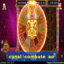 canal combate ao vivo online, multicanais